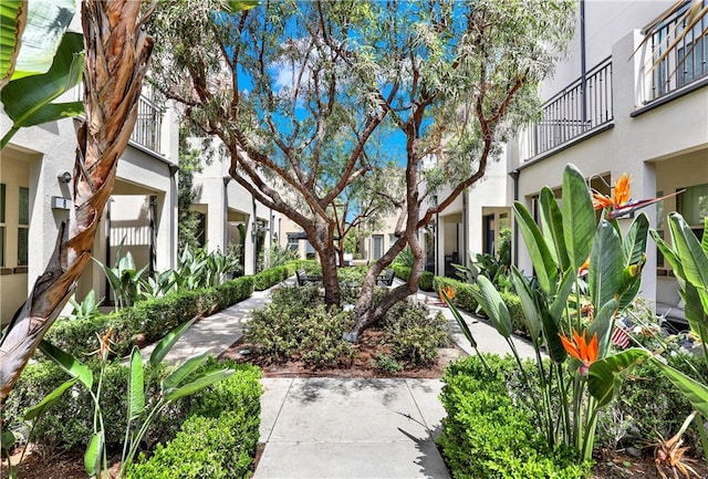 7 Abarrota St, Rancho Mission Viejo, CA 92694 - view of property's community