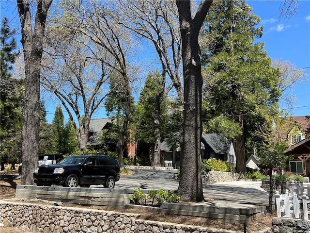 244 Manzanita Dr, Lake Arrowhead, CA 92352 - exterior space