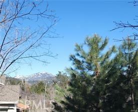 42 Park Dr, Running Springs, CA 92382