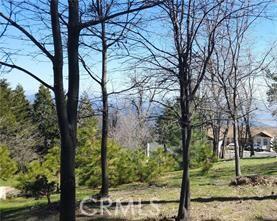 42 Park Dr, Running Springs, CA 92382