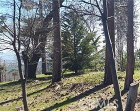 42 Park Dr, Running Springs, CA 92382