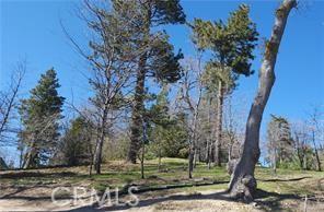 42 Park Dr, Running Springs, CA 92382