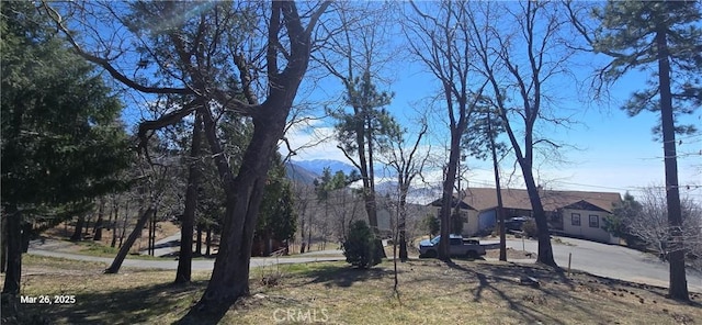 42 Park Dr, Running Springs, CA 92382