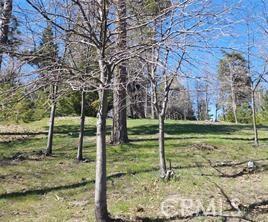 42 Park Dr, Running Springs, CA 92382