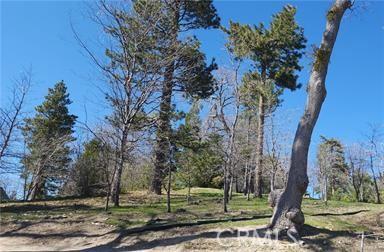 42 Park Dr, Running Springs, CA 92382