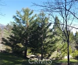 42 Park Dr, Running Springs, CA 92382