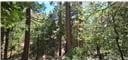 180 Grass Valley Rd, Lake Arrowhead, CA 92352