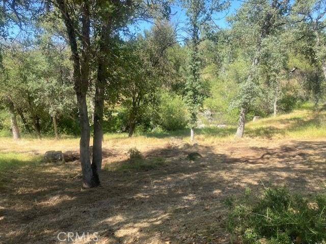 2631 Oak Woods Ct, Catheys Valley, CA 95306 - photo 12