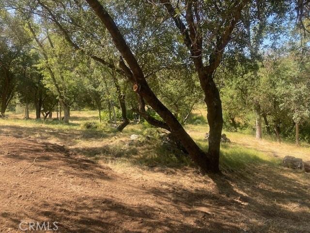 2631 Oak Woods Ct, Catheys Valley, CA 95306 - photo 59