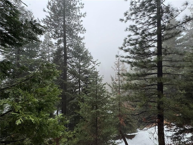 2548 Rim Of The World Dr, Running Springs, CA 92382 - view of wooded area