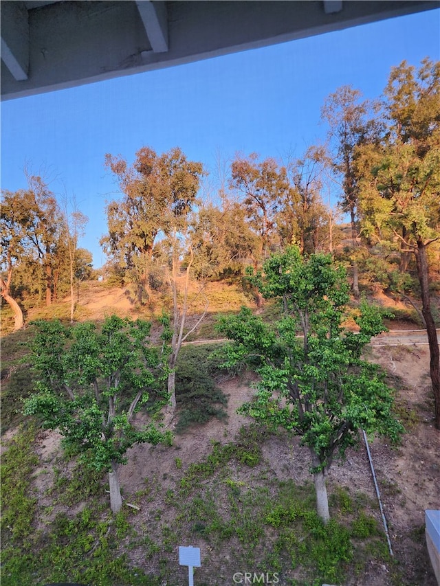 20334 Rue Crevier Unit 622, Canyon Country, CA 91351 - view of yard