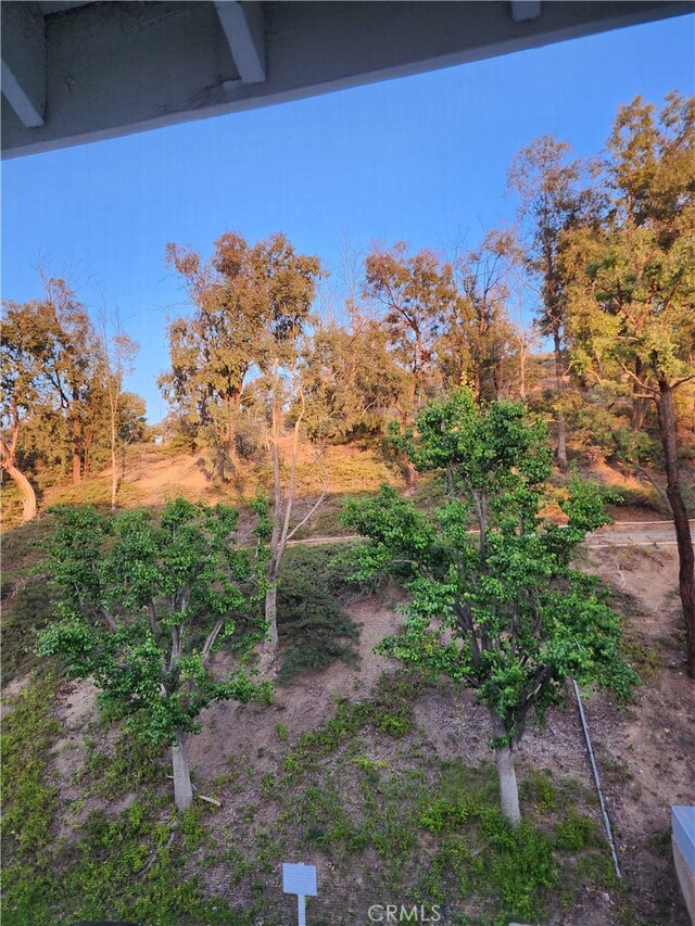 20334 Rue Crevier Unit 622, Canyon Country, CA 91351 - view of yard