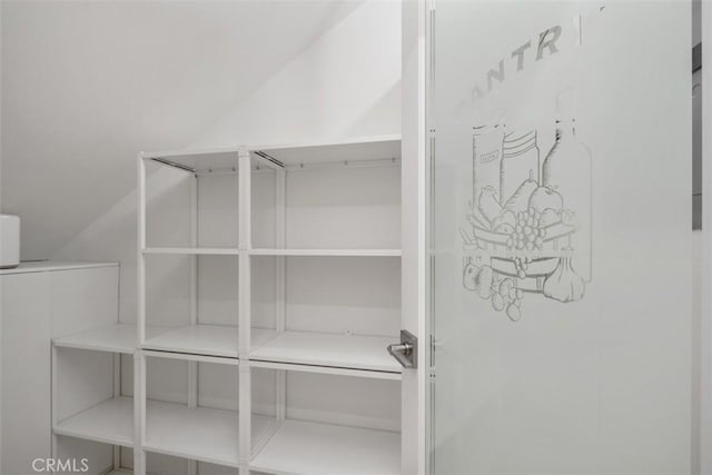 spacious closet featuring vaulted ceiling
