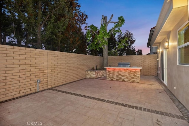 view of patio with exterior kitchen and a fenced backyard