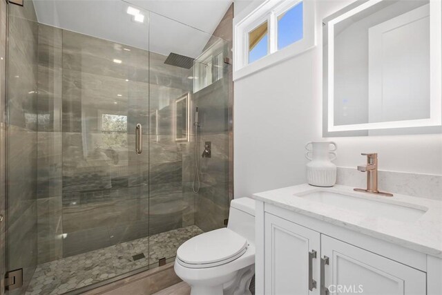 bathroom with toilet, vanity, and a shower stall