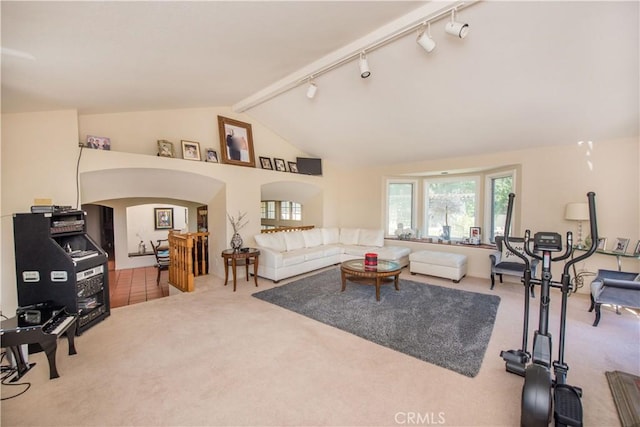 9092 S Rama St, Villa Park, CA 92861 - living room with carpet, track lighting, arched walkways, and high vaulted ceiling