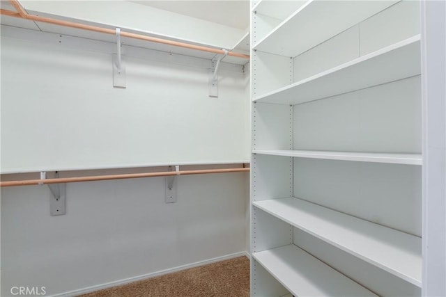 spacious closet with carpet flooring