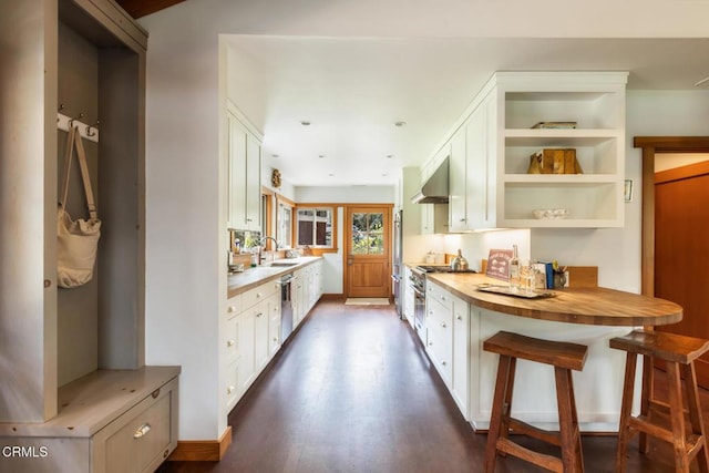 kitchen featuring appliances with stainless steel finishes, under cabinet range hood, white cabinets, wood counters, and dark wood-type flooring