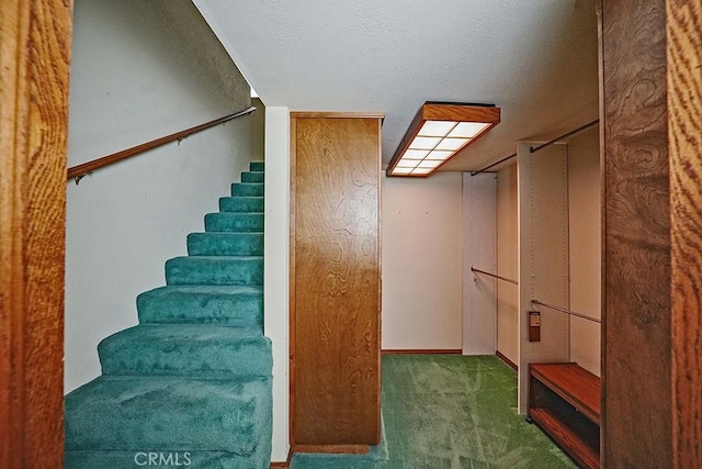 stairs with carpet floors