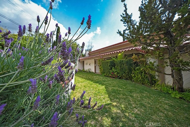 view of grassy yard