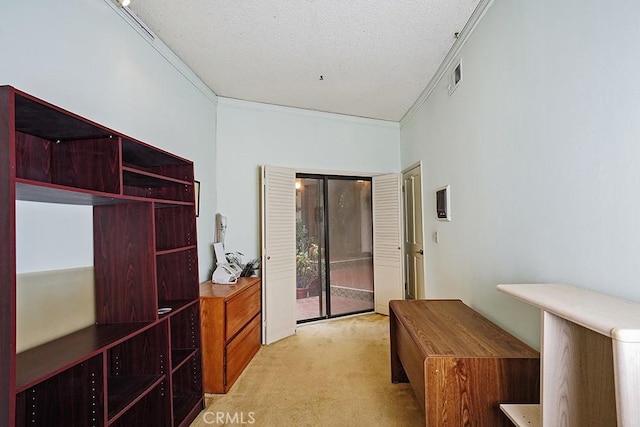 mudroom featuring ornamental molding, light carpet, and a textured ceiling