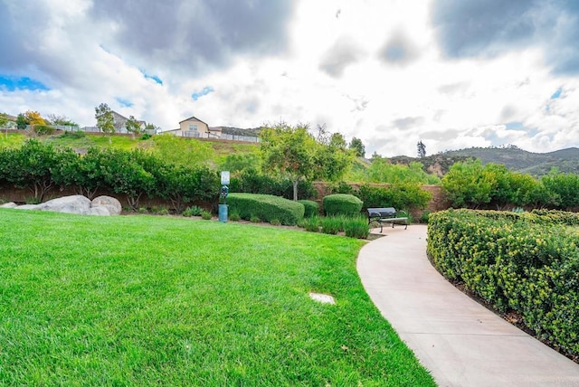 2831 Fishers Pl, Escondido, CA 92029 - photo 53