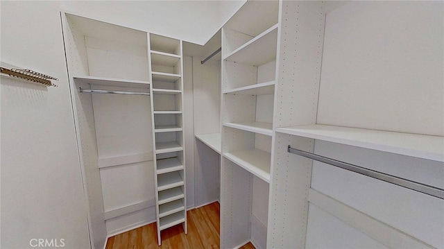 137 Corsica Dr, Newport Beach, CA 92660 - spacious closet featuring light wood-style floors