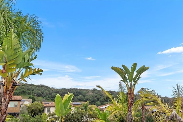 19 Via Cuenta Nueva, San Clemente, CA 92673 - photo 41