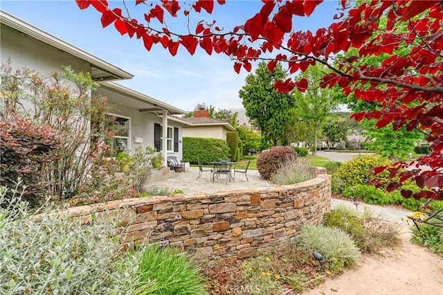 1981 Sinaloa Ave, Altadena, CA 91001 - view of yard featuring a patio
