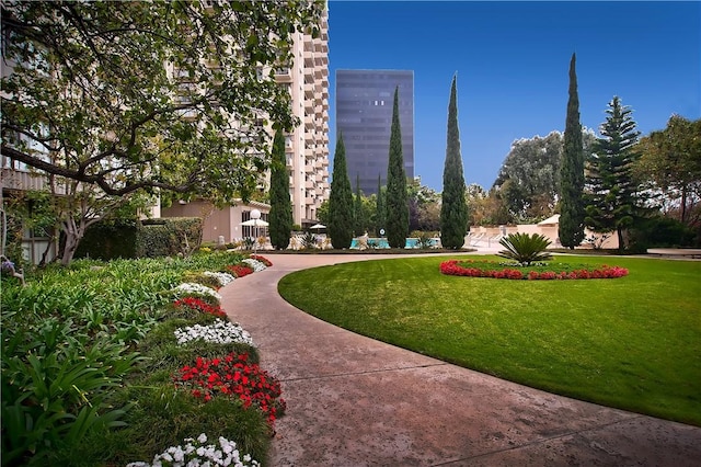 view of community featuring a yard