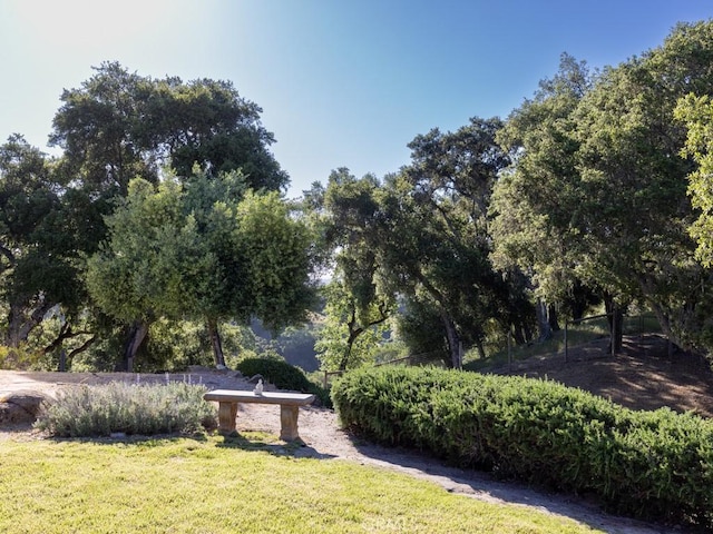 14800 Santa Ana Rd, Atascadero, CA 93422 - view of yard