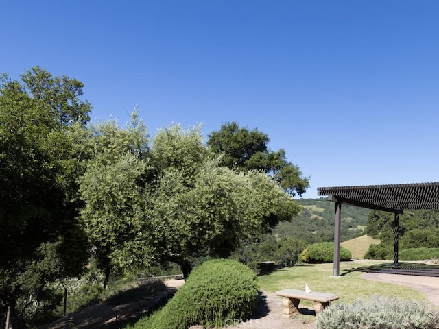 14800 Santa Ana Rd, Atascadero, CA 93422 - view of green lawn with a pergola