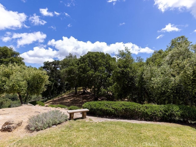 14800 Santa Ana Rd, Atascadero, CA 93422 - view of green lawn