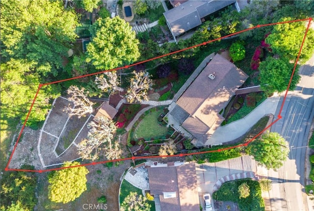 aerial view