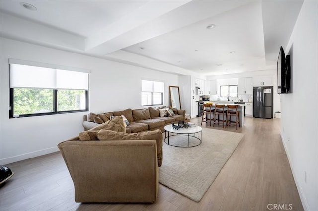 living area with baseboards and light wood-style floors