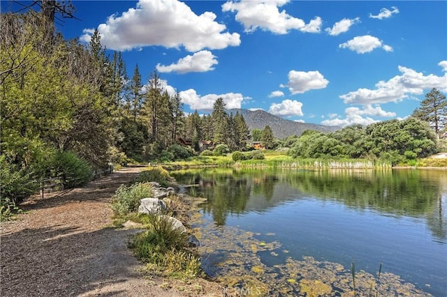 2530 Brentwood Pl, Pine Mountain Club, CA 93222