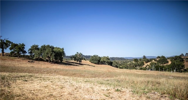 2235 Holly Dr, Paso Robles, CA 93446 - photo 15