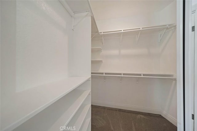 173 N Magnolia Ave Unit A, Anaheim, CA 92801 - walk in closet with carpet floors