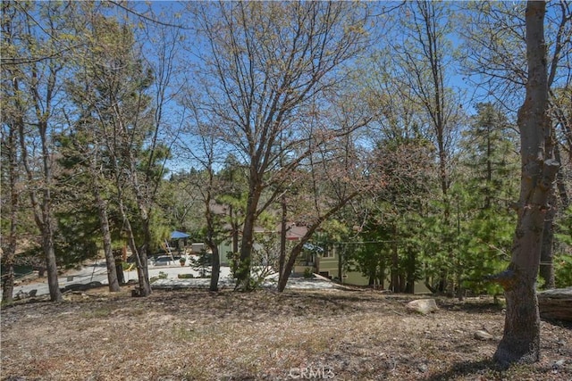 949 Inspiration Dr, Lake Arrowhead, CA 92352 - photo 32