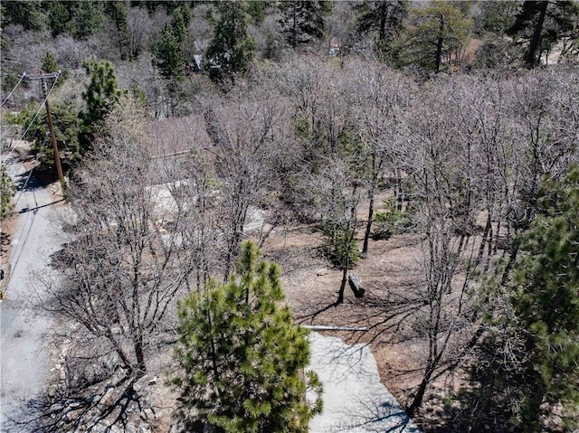 949 Inspiration Dr, Lake Arrowhead, CA 92352 - photo 39