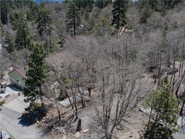 949 Inspiration Dr, Lake Arrowhead, CA 92352 - photo 44