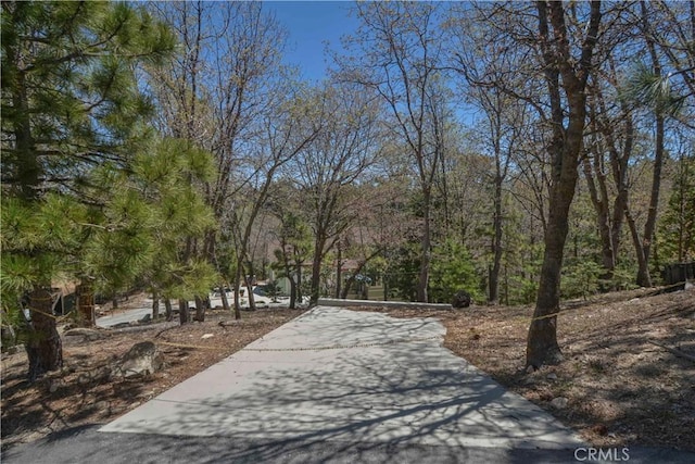 949 Inspiration Dr, Lake Arrowhead, CA 92352 - photo 28