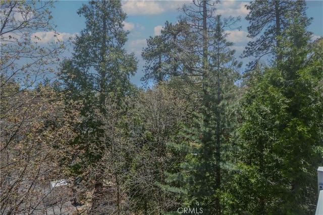 949 Inspiration Dr, Lake Arrowhead, CA 92352 - photo 33