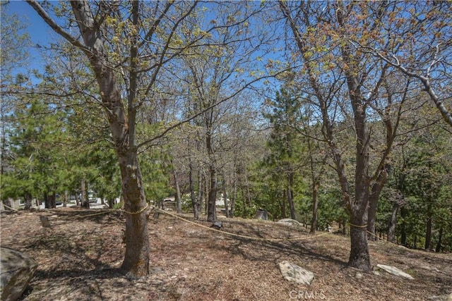 949 Inspiration Dr, Lake Arrowhead, CA 92352 - photo 31