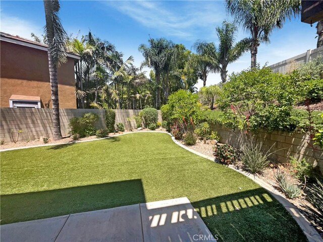 8424 Monique Ct, Riverside, CA 92508 - view of yard
