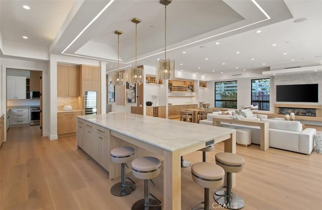 5772 Sierra Casa Rd, Irvine, CA 92603 - kitchen with stainless steel appliances, modern cabinets, a tray ceiling, light wood finished floors, and recessed lighting