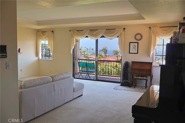 living room featuring a raised ceiling, carpet flooring, healthy amount of natural light, and ornamental molding