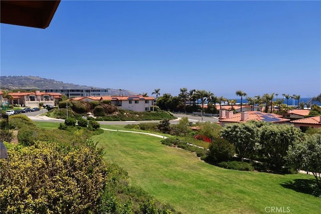 view of grassy yard