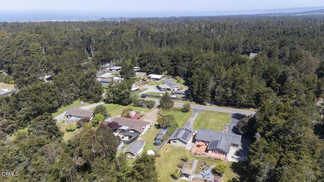 31341 Thomas Ln, Fort Bragg, CA 95437 - photo 29