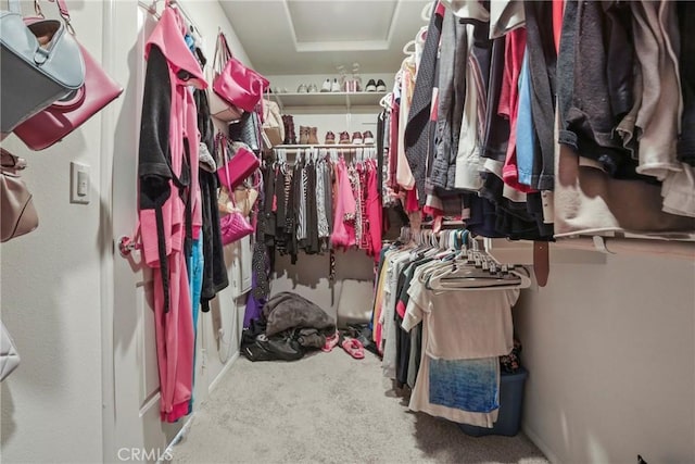 30527 Expedition Dr, Winchester, CA 92596 - spacious closet featuring carpet flooring and attic access
